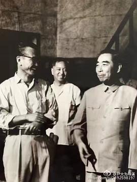 尹一青