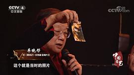 车晓彤