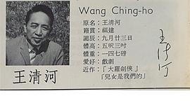 王清河