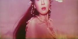杨钧钧