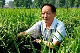 袁隆平