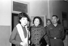丁红