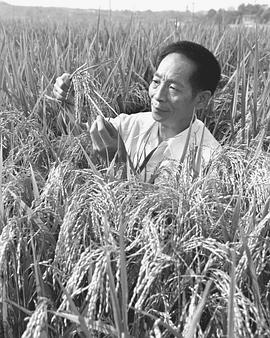 袁隆平