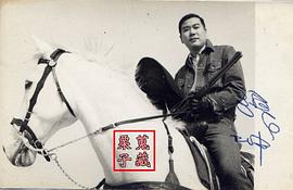 张冲