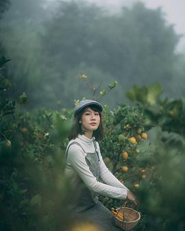 素芘察·琳索姆