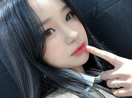 韩智效