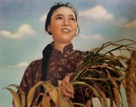 田华