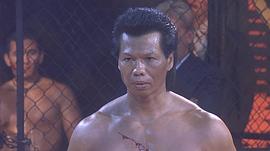 杨斯