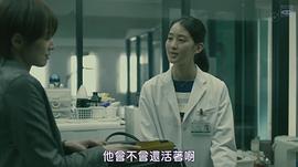 青野枫