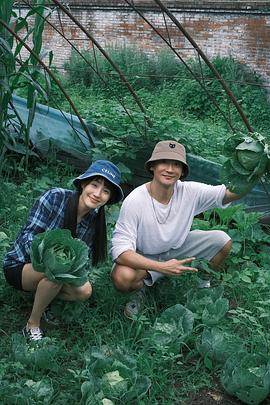 王智