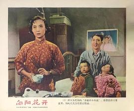 王丹凤