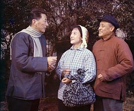 王丹凤