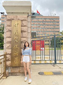 金佳悦