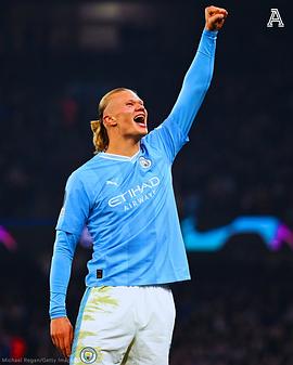 埃尔林·哈兰德
