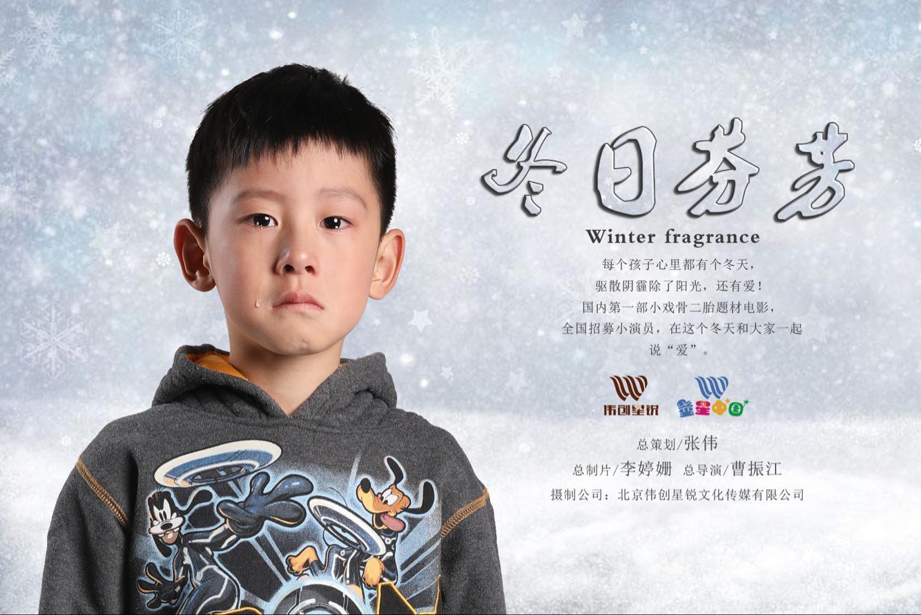 刘智傲宸