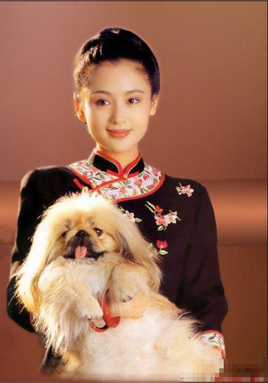 陈红
