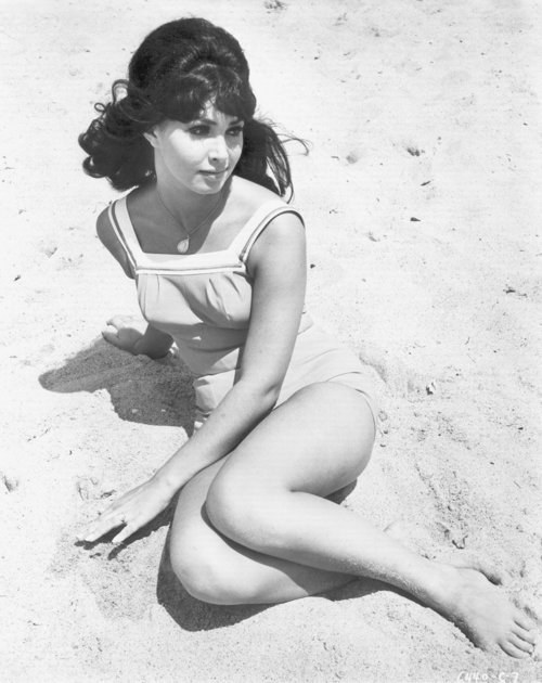 Donna Loren