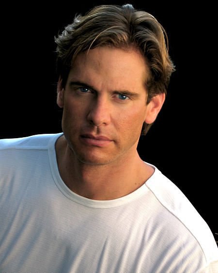 David Gibbs