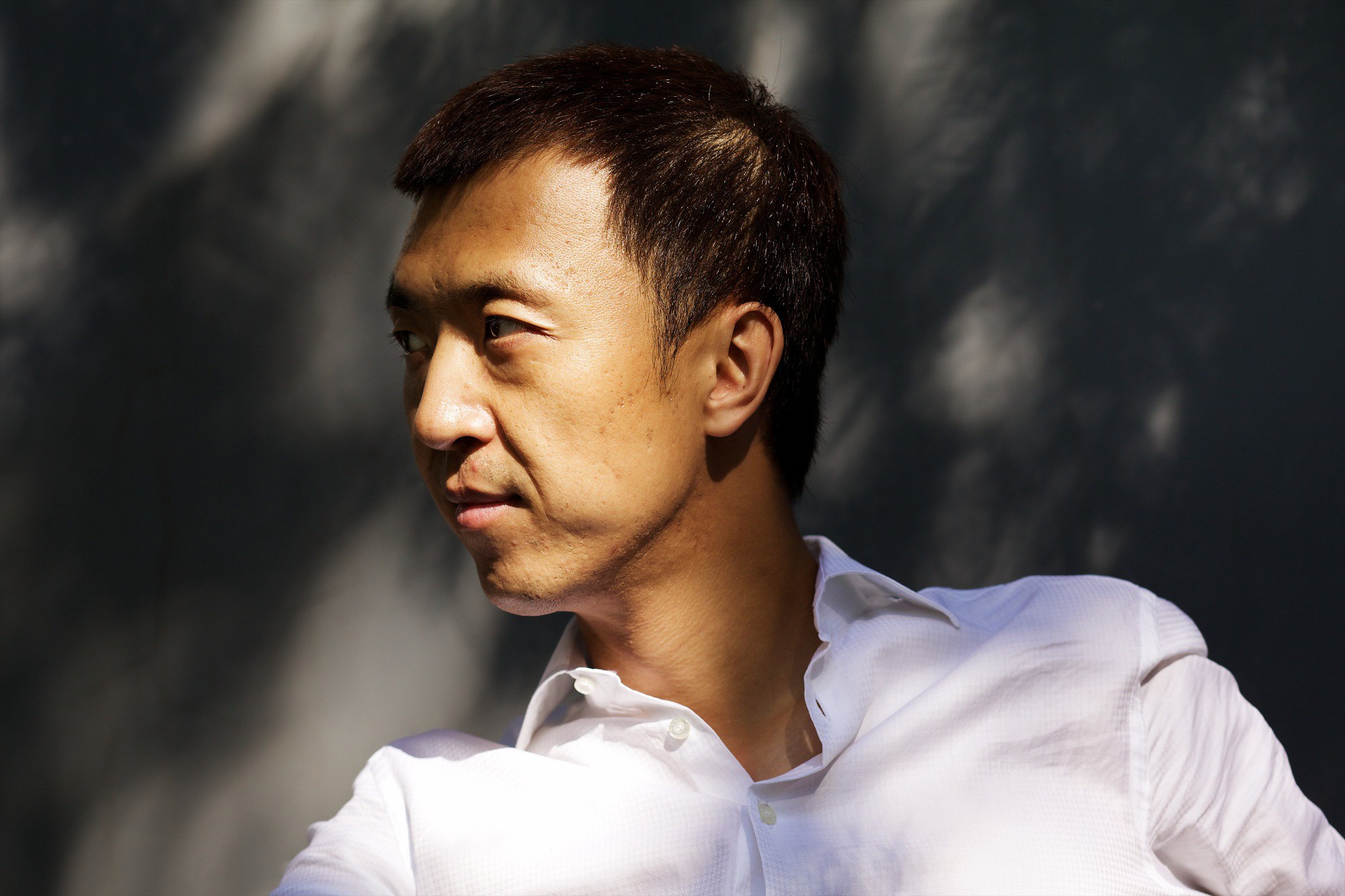 杨晨