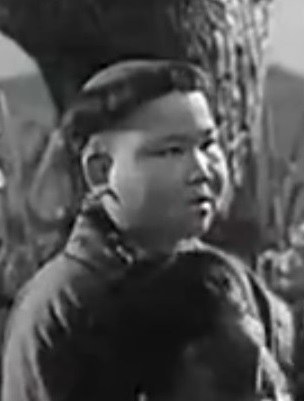 闻林泉
