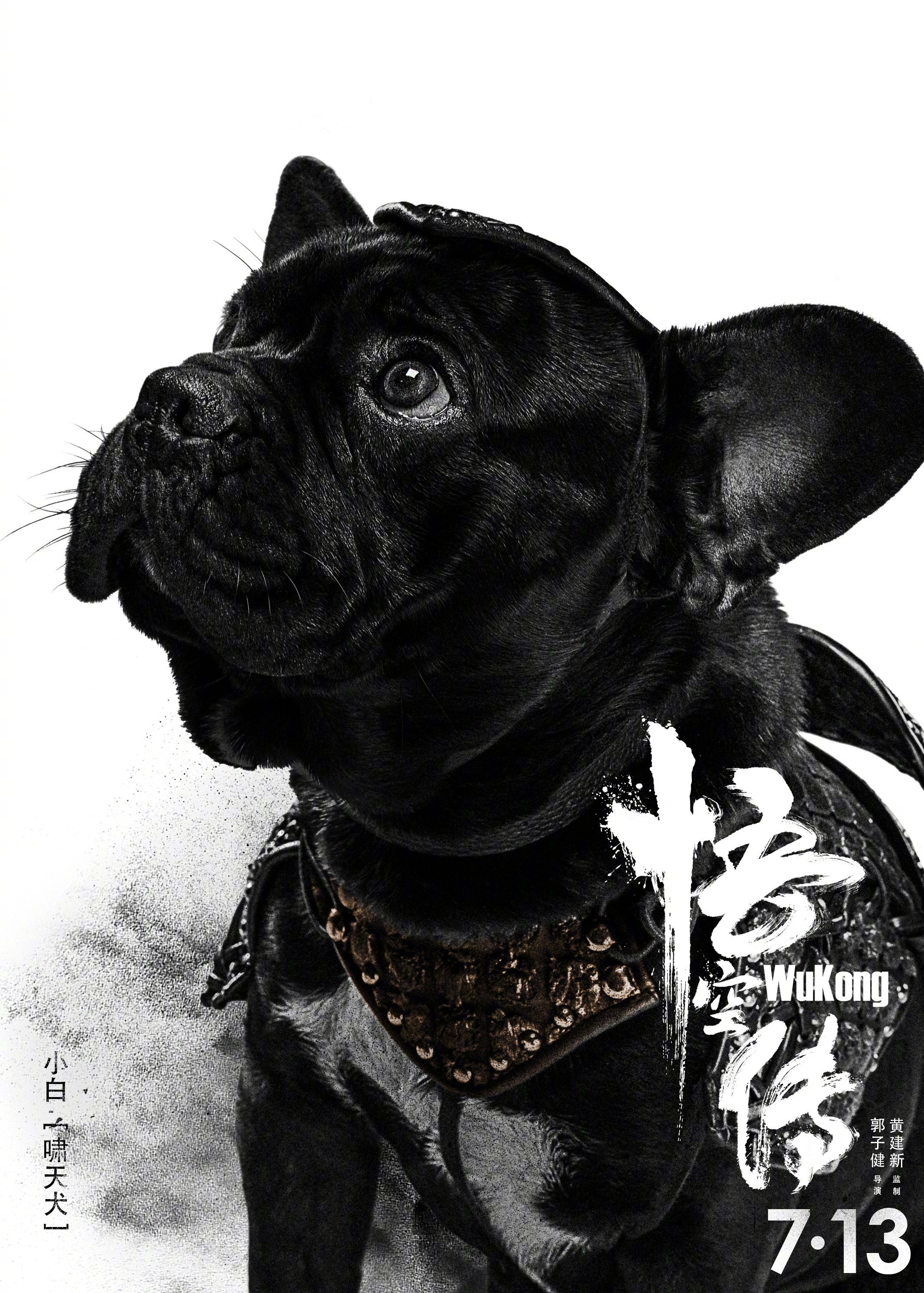 小白