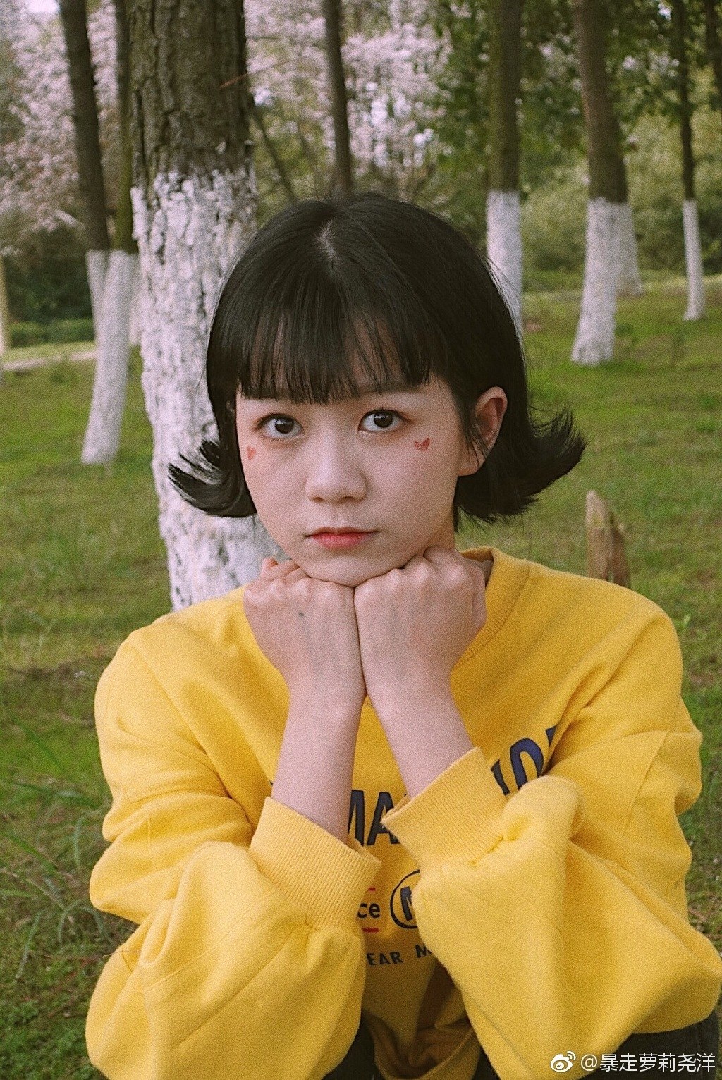 尧洋