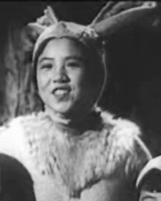 苏萍