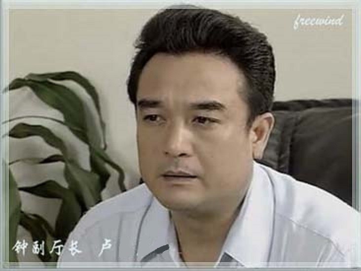 卢志启