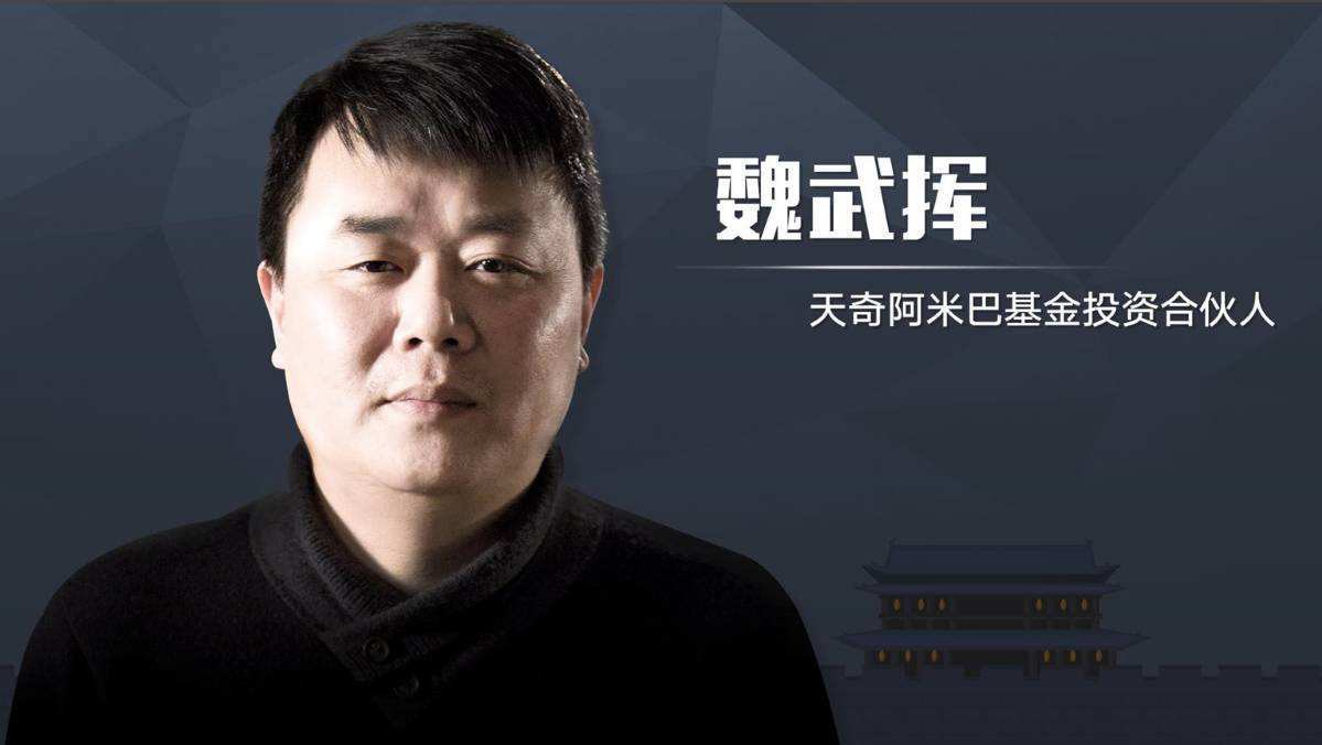 魏武挥