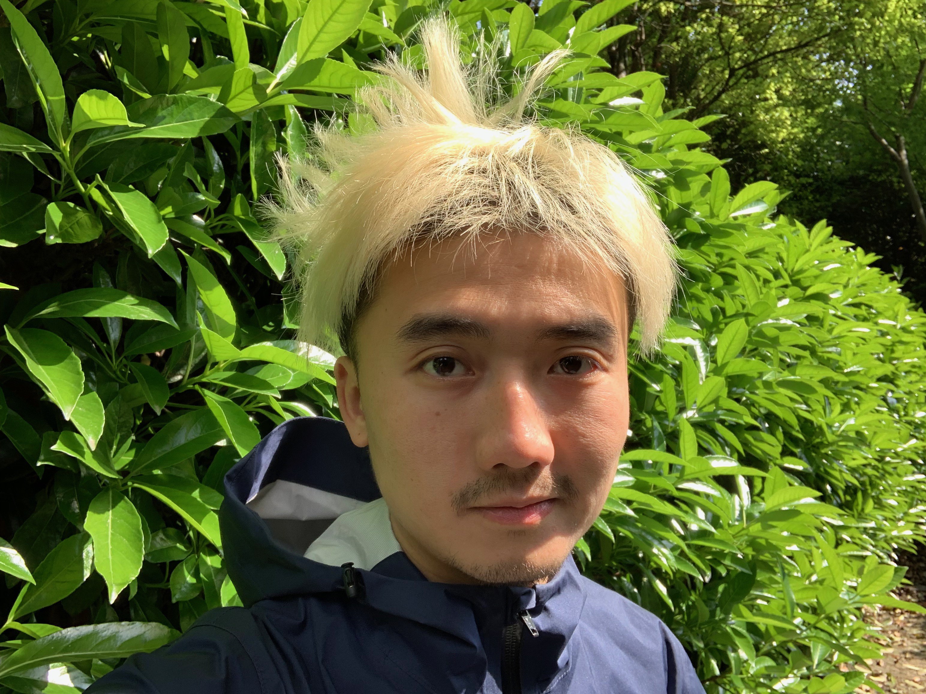 吴昊昊