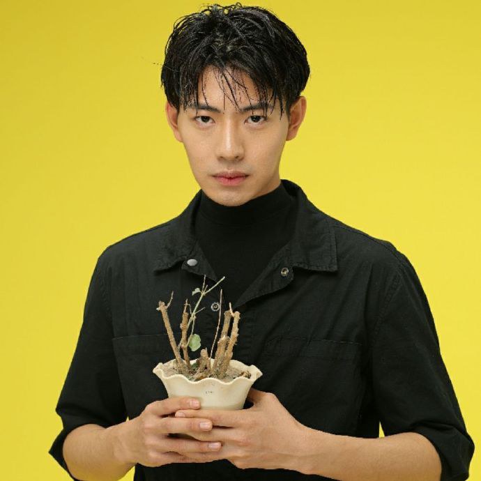 洋懿