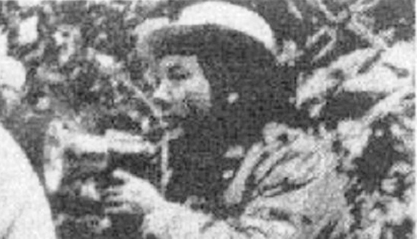 张宁