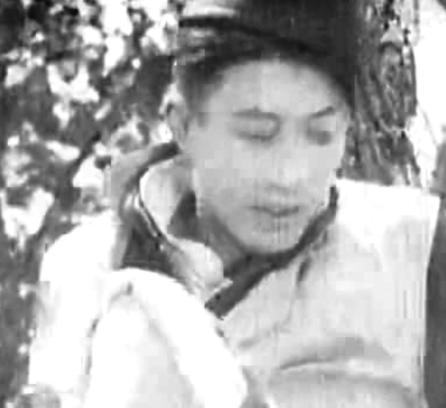 邵鹤