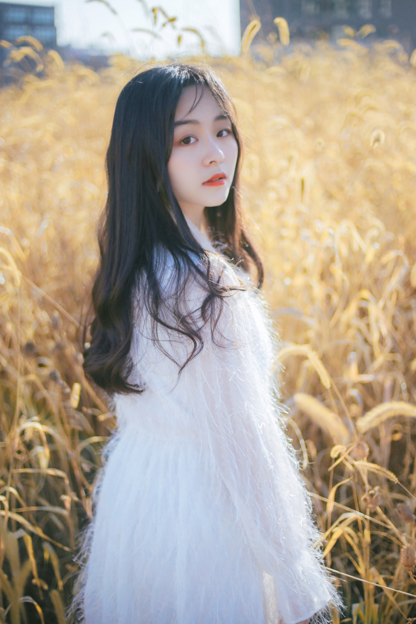 李世佳