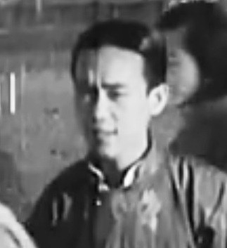 王庭树