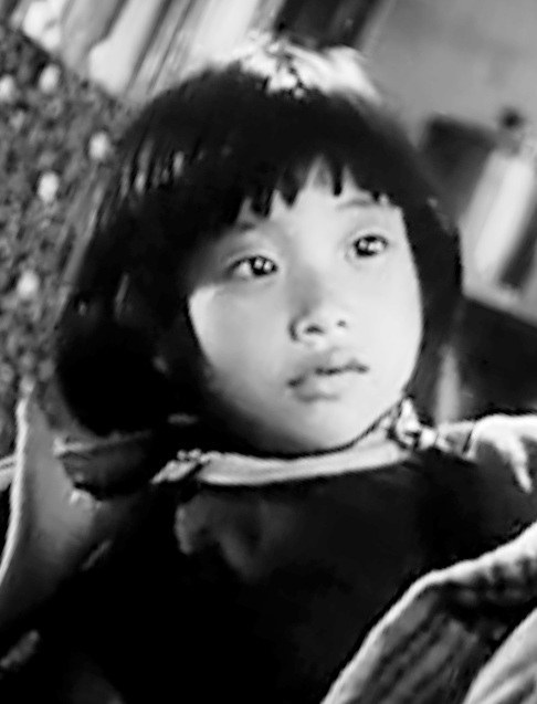 王露露