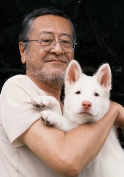北岛靖