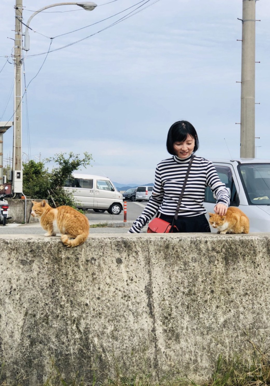 王希
