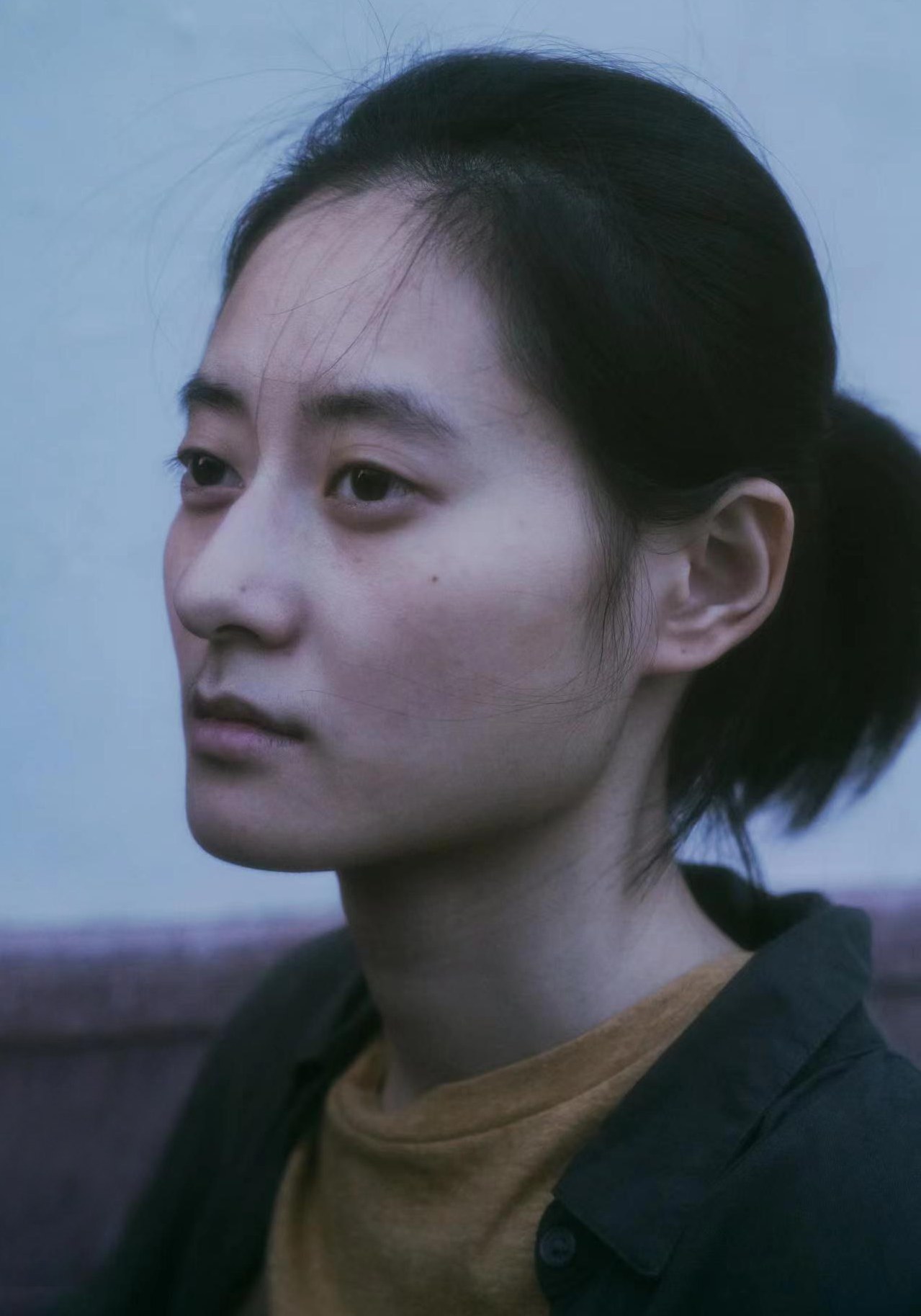 叶子