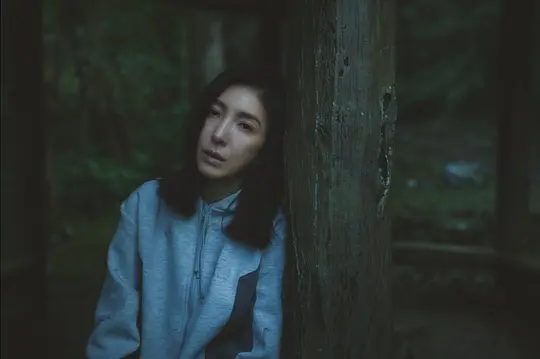 消失的裂痕