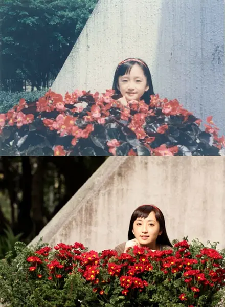 柯佳嬿