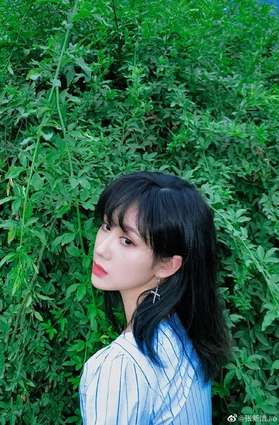 张新洁