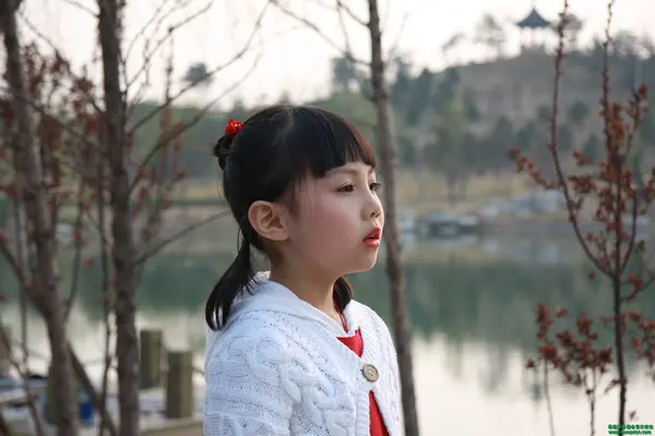 杨沛宜