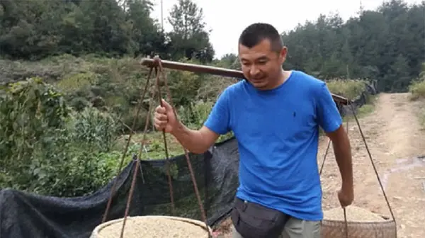 安同庆