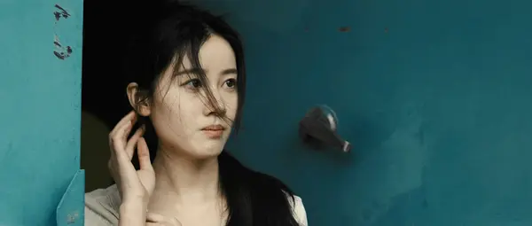 付翠茹