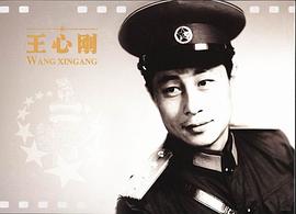 王心刚