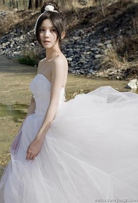 杨子姗