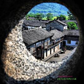 茱莉·黛许