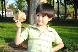 孙天宇