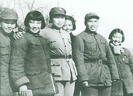 陈波儿